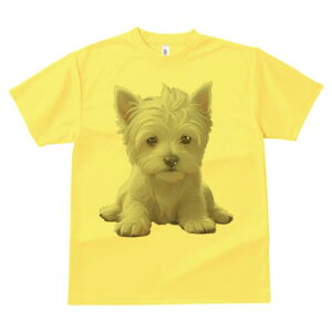 EGXgnChzCgeA TVc  j[NfUCfB[X t@  t vg lJWA 킢 lԗp Mtg I ҏ΍ EGXgnChz