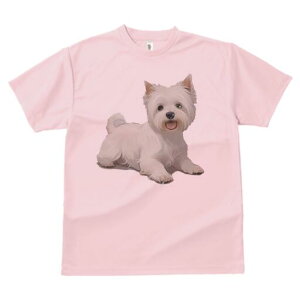 EGXgnChzCgeA TVc  j[NfUCY LbY t@  t vg lJWA 킢 lԗp Mtg I ҏ΍ EGXgnCh