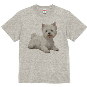 EGXgnChzCgeA TVc  j[NfUCfB[X t@  t vg lJWA 킢 lԗp Mtg I ҏ΍ EGXgnChz