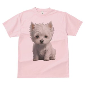 EGXgnChzCgeA TVc  j[NfUCfB[X t@  t vg lJWA 킢 lԗp Mtg I ҏ΍ EGXgnChz