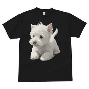 EGXgnChzCgeA TVc  j[NfUCfB[X t@  t vg lJWA 킢 lԗp Mtg I ҏ΍ EGXgnChz