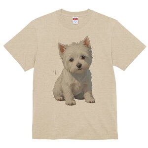 EGXgnChzCgeA TVc  j[NfUCfB[X t@  t vg lJWA 킢 lԗp Mtg I ҏ΍ EGXgnChz