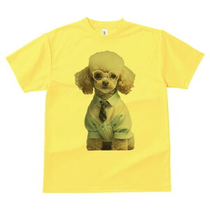 gCv[h TVc  j[NfUCfB[X t@  t vg lJWA 킢 lԗp Mtg I ҏ΍ lN^C gCv[h ዾ Vc