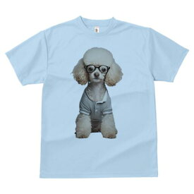 トイプードル Tシャツ 犬愛 ユニークデザインメンズ キッズ 犬ファン 半袖 春夏 プリント 大人カジュアル かわいい 人間用 ギフト 個性的 猛暑対策 メガネ トイプードル ポロシャツ