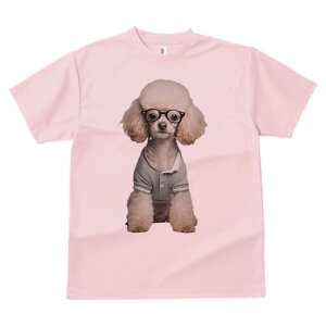 gCv[h TVc  j[NfUCfB[X t@  t vg lJWA 킢 lԗp Mtg I ҏ΍ Kl gCv[h |Vc