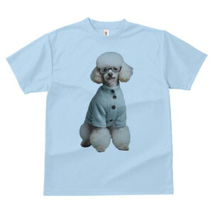 v[h TVc  j[NfUCY LbY t@  t vg lJWA 킢 lԗp Mtg I ҏ΍ Kl v[h J[fBK