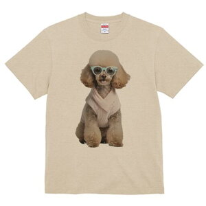 gCv[h TVc  j[NfUCfB[X t@  t vg lJWA 킢 lԗp Mtg I ҏ΍ Kl gCv[h Z[^[