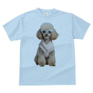 gCv[h TVc  j[NfUCfB[X t@  t vg lJWA 킢 lԗp Mtg I ҏ΍ Kl gCv[h Z[^[