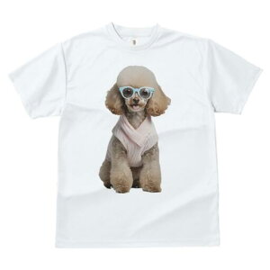 gCv[h TVc  j[NfUCfB[X t@  t vg lJWA 킢 lԗp Mtg I ҏ΍ Kl gCv[h Z[^[