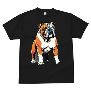 uhbO TVc  j[NfUCfB[X t@  t vg lJWA 킢 lԗp Mtg I ҏ΍ uhbO