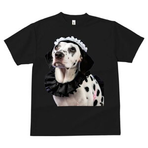 _VA TVc  j[NfUCfB[X t@  t vg lJWA 킢 lԗp Mtg I ҏ΍ Ch _VA [X