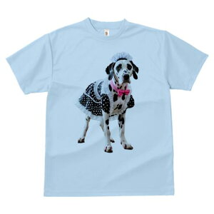 _VA TVc  j[NfUCfB[X t@  t vg lJWA 킢 lԗp Mtg I ҏ΍ Ch _VA sÑ{ 