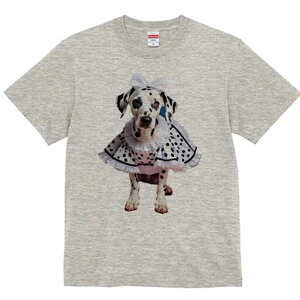 _VA TVc  j[NfUCfB[X t@  t vg lJWA 킢 lԗp Mtg I ҏ΍  _VA { s[X