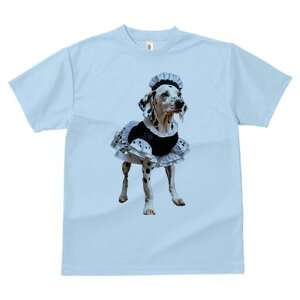 _VA TVc  j[NfUCfB[X t@  t vg lJWA 킢 lԗp Mtg I ҏ΍ Ch _VA RXv