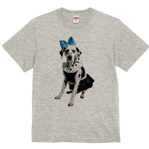 _VA TVc  j[NfUCfB[X t@  t vg lJWA 킢 lԗp Mtg I ҏ΍  _VA { Ch RX`