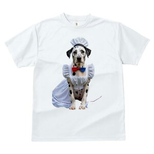 _VA TVc  j[NfUCfB[X t@  t vg lJWA 킢 lԗp Mtg I ҏ΍ RbNX _VA Gv {