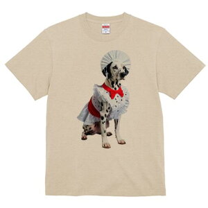 _VA TVc  j[NfUCY LbY t@  t vg lJWA 킢 lԗp Mtg I ҏ΍ RbNX _VA Gv ʖ͗l