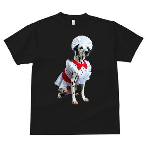 _VA TVc  j[NfUCY LbY t@  t vg lJWA 킢 lԗp Mtg I ҏ΍ RbNX _VA Gv ʖ͗l