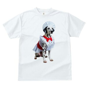 _VA TVc  j[NfUCfB[X t@  t vg lJWA 킢 lԗp Mtg I ҏ΍ RbNX _VA Gv ʖ͗l 