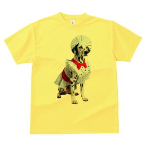 _VA TVc  j[NfUCY LbY t@  t vg lJWA 킢 lԗp Mtg I ҏ΍ RbNX _VA Gv ʖ͗l