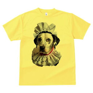 _VA TVc  j[NfUCfB[X t@  t vg lJWA 킢 lԗp Mtg I ҏ΍ Ch _VA t