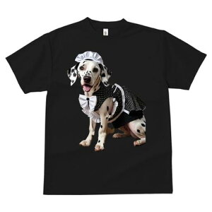 _VA TVc  j[NfUCfB[X t@  t vg lJWA 킢 lԗp Mtg I ҏ΍ Ch _VA ʖ͗l { t