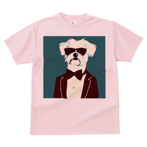 }`[Y TVc  j[NfUCfB[X t@  t vg lJWA 킢 lԗp Mtg I ҏ΍ TOX }`[Y ^LV[h lN^C