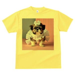 V[Y[ TVc  j[NfUCfB[X t@  t vg lJWA 킢 lԗp Mtg I ҏ΍ hX V[Y[ {