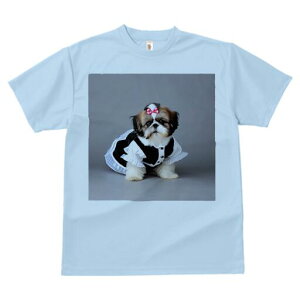 V[Y[ TVc  j[NfUCfB[X t@  t vg lJWA 킢 lԗp Mtg I ҏ΍ RX`[ V[Y[ {