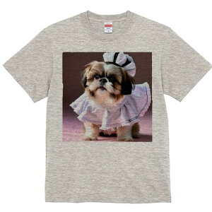 V[Y[ TVc  j[NfUCfB[X t@  t vg lJWA 킢 lԗp Mtg I ҏ΍ Ch V[Y[ t