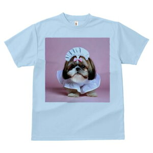 V[Y[ TVc  j[NfUCfB[X t@  t vg lJWA 킢 lԗp Mtg I ҏ΍ { V[Y[ Xq 