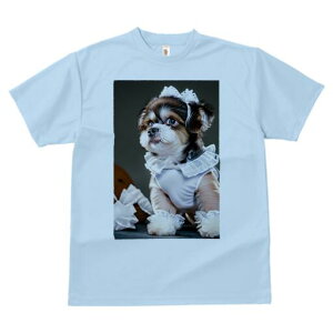 V[Y[ TVc  j[NfUCfB[X t@  t vg lJWA 킢 lԗp Mtg I ҏ΍ Ch V[Y[ {