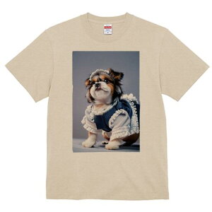 V[Y[ TVc  j[NfUCfB[X t@  t vg lJWA 킢 lԗp Mtg I ҏ΍ Ch V[Y[ RXv