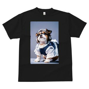 V[Y[ TVc  j[NfUCfB[X t@  t vg lJWA 킢 lԗp Mtg I ҏ΍ Ch V[Y[ RXv