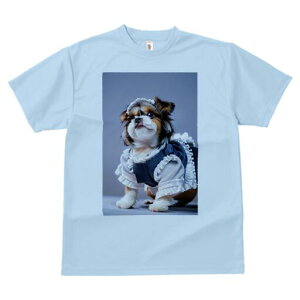 V[Y[ TVc  j[NfUCfB[X t@  t vg lJWA 킢 lԗp Mtg I ҏ΍ Ch V[Y[ RXv