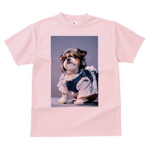 V[Y[ TVc  j[NfUCfB[X t@  t vg lJWA 킢 lԗp Mtg I ҏ΍ Ch V[Y[ RXv