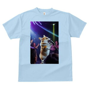 R[M[ TVc  j[NfUCfB[X t@  t vg lJWA 킢 lԗp Mtg I ҏ΍ Xe[W R[M[ Cg }CN Cu