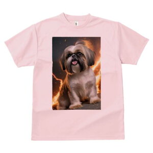 V[Y[ TVc  j[NfUCfB[X t@  t vg lJWA 킢 lԗp Mtg I ҏ΍  V[Y[ Xp[N