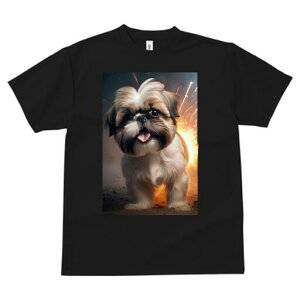 V[Y[ TVc  j[NfUCfB[X t@  t vg lJWA 킢 lԗp Mtg I ҏ΍ wi V[Y[ P 