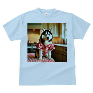 nXL[ TVc  j[NfUCfB[X t@  t vg lJWA 킢 lԗp Mtg I ҏ΍ Lb` nXL[