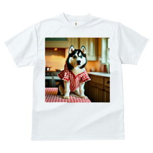 nXL[ TVc  j[NfUCfB[X t@  t vg lJWA 킢 lԗp Mtg I ҏ΍ Lb` nXL[