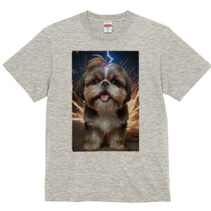 V[Y[ TVc  j[NfUCfB[X t@  t vg lJWA 킢 lԗp Mtg I ҏ΍  V[Y[ Xp[N