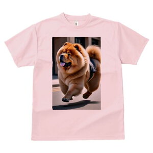 `E`E TVc  j[NfUCfB[X t@  t vg lJWA 킢 lԗp Mtg I ҏ΍ U `E`E pn[lX