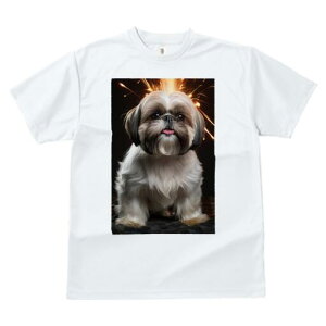 V[Y[ TVc  j[NfUCfB[X t@  t vg lJWA 킢 lԗp Mtg I ҏ΍ ԉ V[Y[