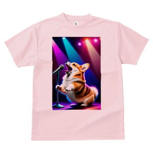 R[M[ TVc  j[NfUCfB[X t@  t vg lJWA 킢 lԗp Mtg I ҏ΍ Xe[W R[M[ Cg