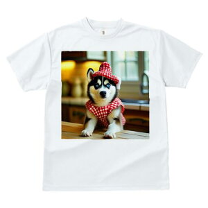 nXL[ TVc  j[NfUCfB[X t@  t vg lJWA 킢 lԗp Mtg I ҏ΍ Xq nXL[ `FbN