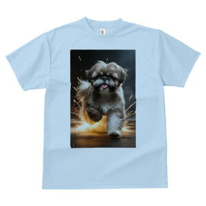 V[Y[ TVc  j[NfUCfB[X t@  t vg lJWA 킢 lԗp Mtg I ҏ΍  V[Y[ Xp[N