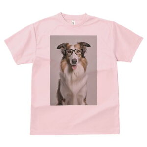 R[ TVc  j[NfUCfB[X t@  t vg lJWA 킢 lԗp Mtg I ҏ΍ Kl R[