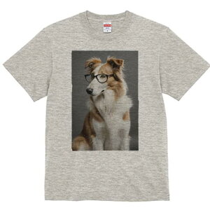 {[_[R[ TVc  j[NfUCfB[X t@  t vg lJWA 킢 lԗp Mtg I ҏ΍ Kl {[_[R[