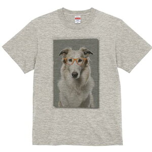 {]C TVc  j[NfUCfB[X t@  t vg lJWA 킢 lԗp Mtg I ҏ΍ Kl {]C